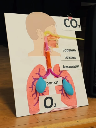 📢 НАУКА ОЧИМА НАШИХ УЧНІВ🔬